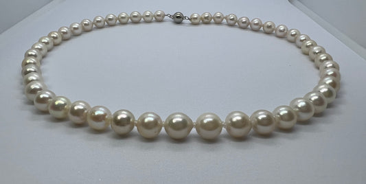 Natural Akoya Pearl Necklace