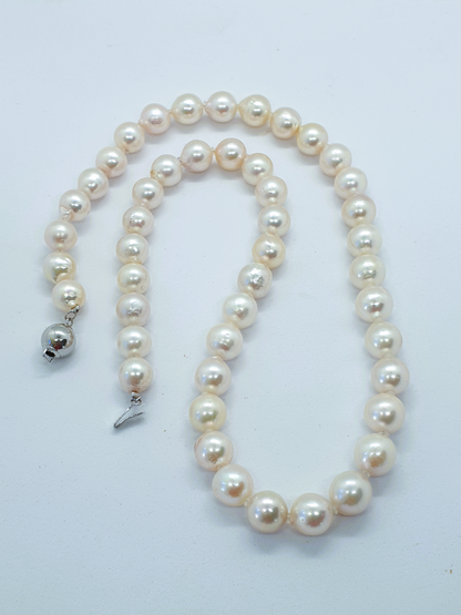 Natural Akoya Pearl Necklace