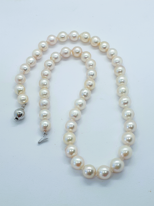 Natural Akoya Pearl Necklace